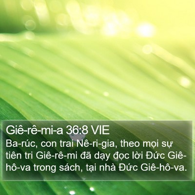 Giê-rê-mi-a 36:8 VIE Bible Verse Image
