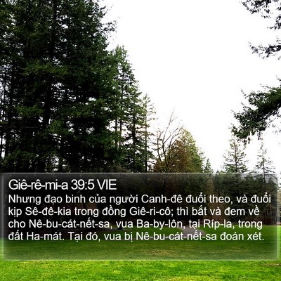 Giê-rê-mi-a 39:5 VIE Bible Verse Image