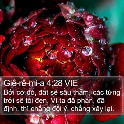 Giê-rê-mi-a 4:28 VIE Bible Verse Image