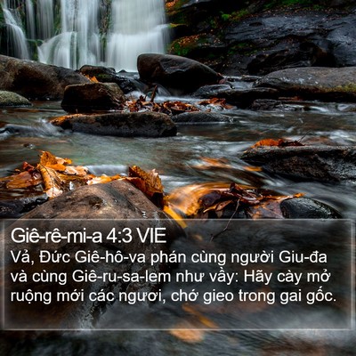 Giê-rê-mi-a 4:3 VIE Bible Verse Image