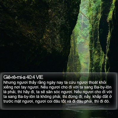 Giê-rê-mi-a 40:4 VIE Bible Verse Image
