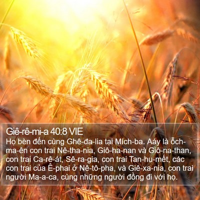 Giê-rê-mi-a 40:8 VIE Bible Verse Image
