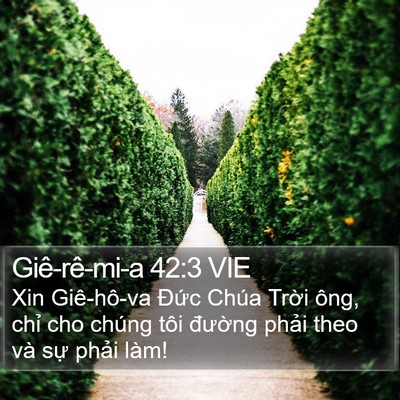 Giê-rê-mi-a 42:3 VIE Bible Verse Image
