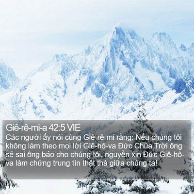 Giê-rê-mi-a 42:5 VIE Bible Verse Image