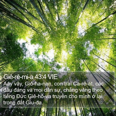 Giê-rê-mi-a 43:4 VIE Bible Verse Image