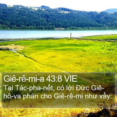 Giê-rê-mi-a 43:8 VIE Bible Verse Image