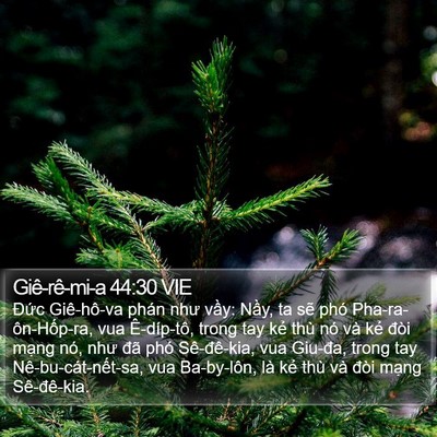 Giê-rê-mi-a 44:30 VIE Bible Verse Image