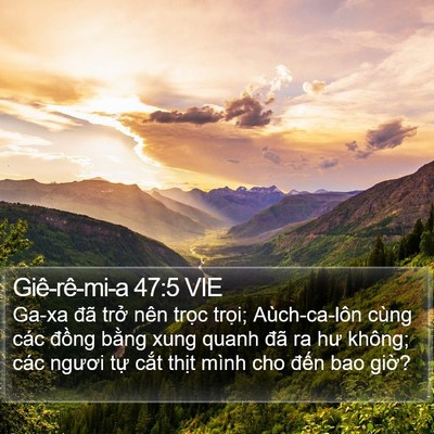Giê-rê-mi-a 47:5 VIE Bible Verse Image