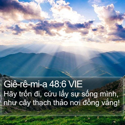 Giê-rê-mi-a 48:6 VIE Bible Verse Image