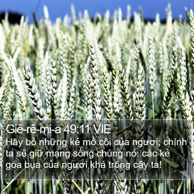 Giê-rê-mi-a 49:11 VIE Bible Verse Image