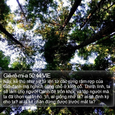 Giê-rê-mi-a 50:44 VIE Bible Verse Image