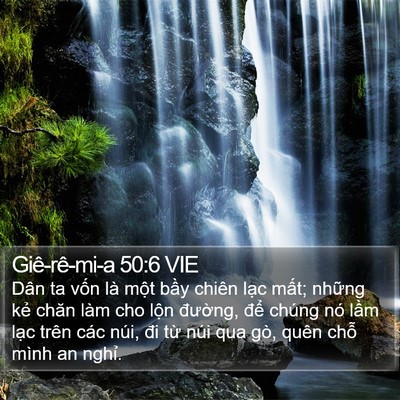 Giê-rê-mi-a 50:6 VIE Bible Verse Image