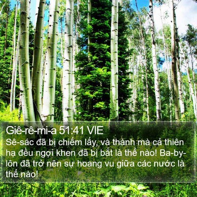 Giê-rê-mi-a 51:41 VIE Bible Verse Image