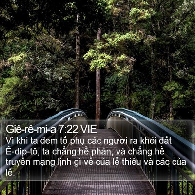 Giê-rê-mi-a 7:22 VIE Bible Verse Image