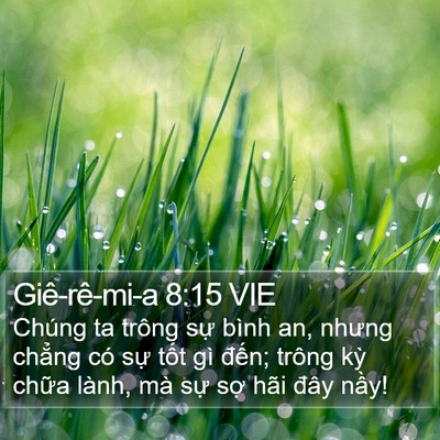 Giê-rê-mi-a 8:15 VIE Bible Verse Image