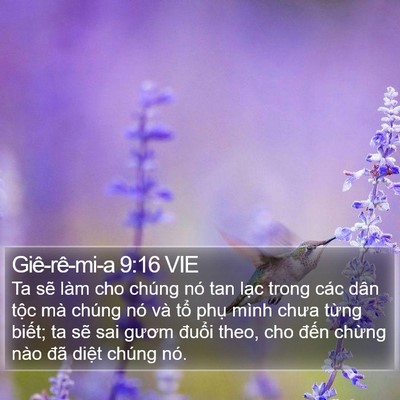 Giê-rê-mi-a 9:16 VIE Bible Verse Image
