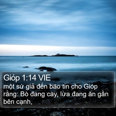 Gióp 1:14 VIE Bible Verse Image