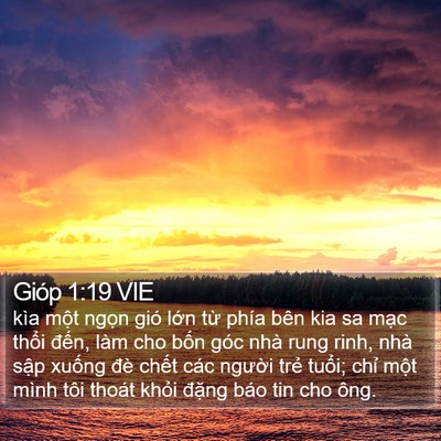 Gióp 1:19 VIE Bible Verse Image