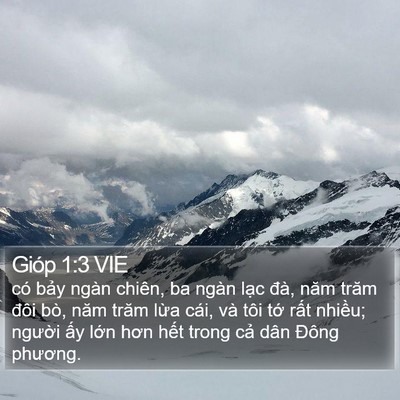 Gióp 1:3 VIE Bible Verse Image
