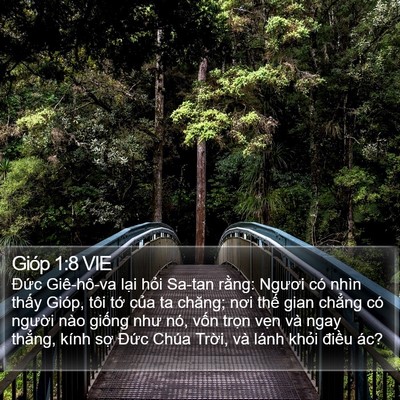 Gióp 1:8 VIE Bible Verse Image