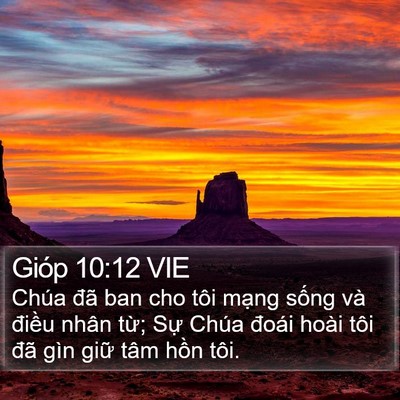 Gióp 10:12 VIE Bible Verse Image
