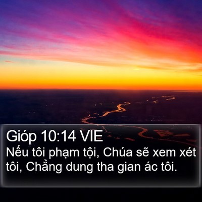 Gióp 10:14 VIE Bible Verse Image