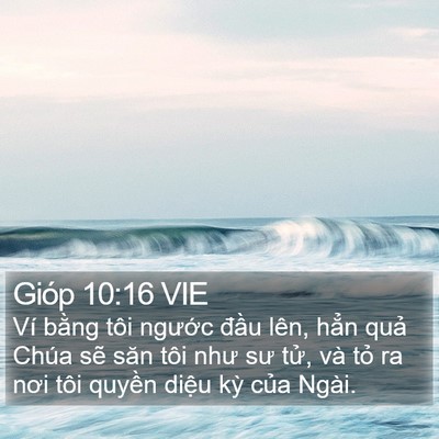 Gióp 10:16 VIE Bible Verse Image