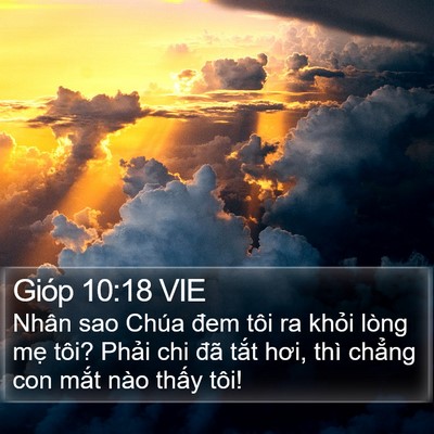 Gióp 10:18 VIE Bible Verse Image