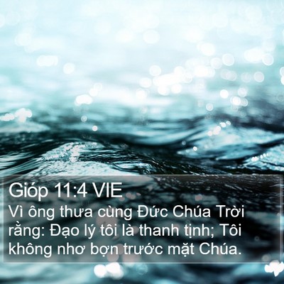 Gióp 11:4 VIE Bible Verse Image