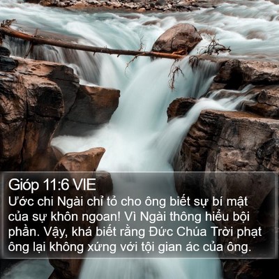 Gióp 11:6 VIE Bible Verse Image