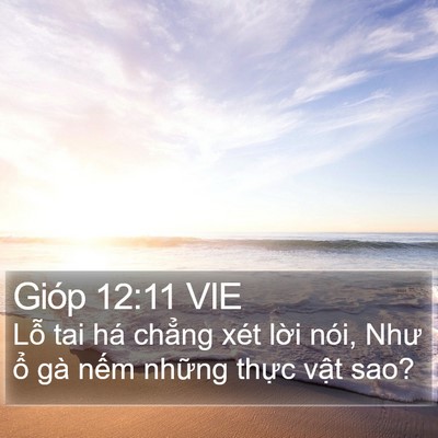 Gióp 12:11 VIE Bible Verse Image