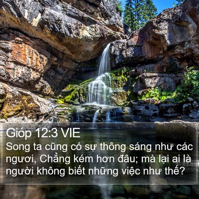 Gióp 12:3 VIE Bible Verse Image