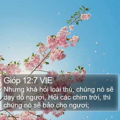 Gióp 12:7 VIE Bible Verse Image