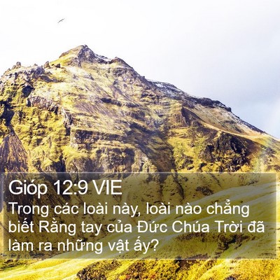 Gióp 12:9 VIE Bible Verse Image