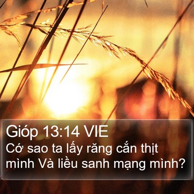 Gióp 13:14 VIE Bible Verse Image