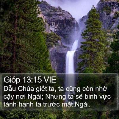 Gióp 13:15 VIE Bible Verse Image