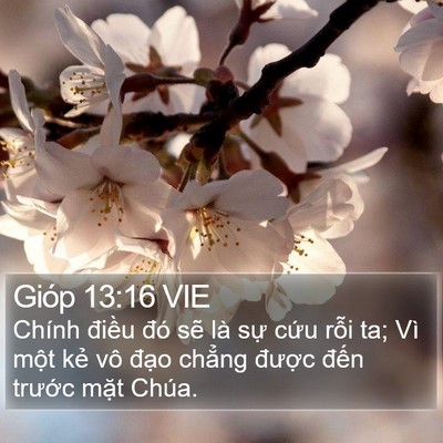 Gióp 13:16 VIE Bible Verse Image