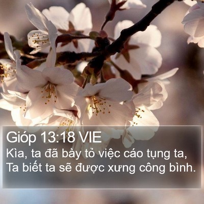 Gióp 13:18 VIE Bible Verse Image