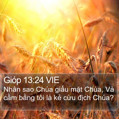 Gióp 13:24 VIE Bible Verse Image