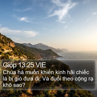 Gióp 13:25 VIE Bible Verse Image