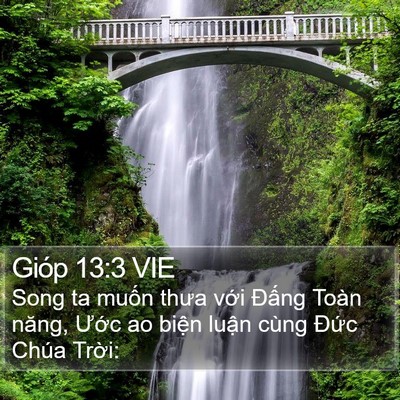 Gióp 13:3 VIE Bible Verse Image