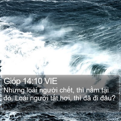 Gióp 14:10 VIE Bible Verse Image