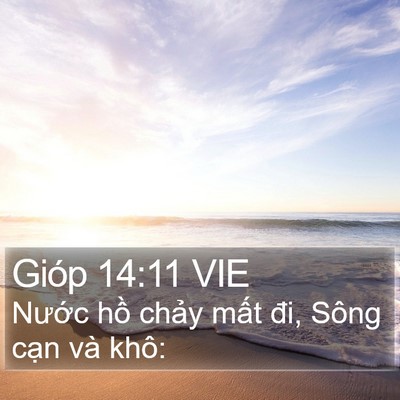 Gióp 14:11 VIE Bible Verse Image