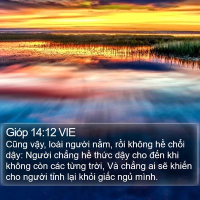 Gióp 14:12 VIE Bible Verse Image