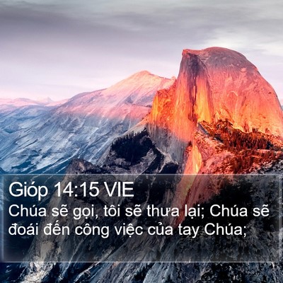 Gióp 14:15 VIE Bible Verse Image