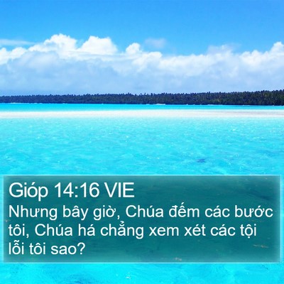 Gióp 14:16 VIE Bible Verse Image