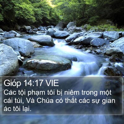 Gióp 14:17 VIE Bible Verse Image