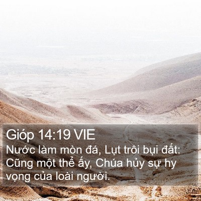 Gióp 14:19 VIE Bible Verse Image