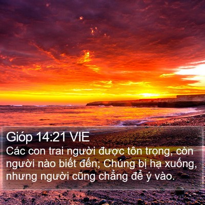 Gióp 14:21 VIE Bible Verse Image
