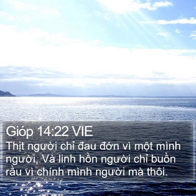 Gióp 14:22 VIE Bible Verse Image